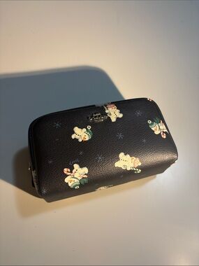 Small coach makeup bag